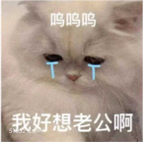 呜呜呜 TT 我好想 猫猫 流泪 想你 哭唧唧