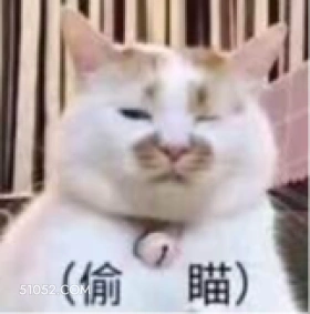 (偷瞄) 猫猫 偷瞄
