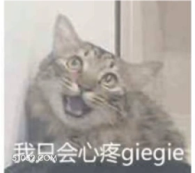 猫猫心疼giegie 猫猫 心疼giegie