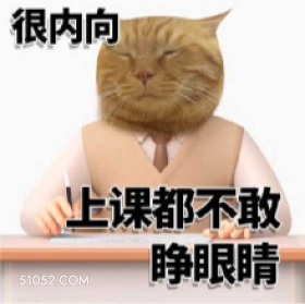 很内向 上课都不敢  猫猫 上课犯困