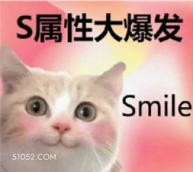 S属性大爆发 Smi 猫猫 微笑