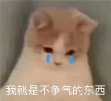 我就是不争气的东西 猫猫 emo 难过 不争气 没用