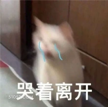 哭着离开 猫猫 流泪 哭唧唧