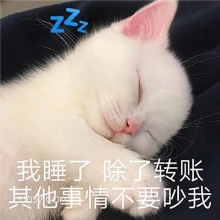 我睡了除了转账 其他 猫猫 睡了 晚安 勿扰