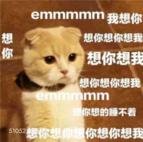 emmmmm我想你  猫猫 想你