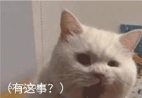 (有这事？) 猫猫 有这事