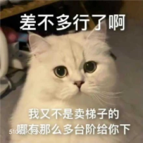 差不多行了啊 我又不 猫猫 耐心耗尽