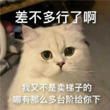 差不多行了啊 我又不 猫猫 耐心耗尽