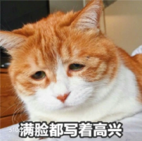 满脸都写着高兴 猫猫 难过 满脸写着高兴