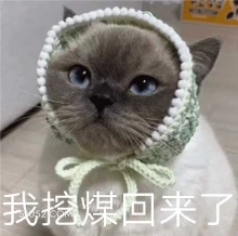 我挖煤回来了 我回来了 黢黑 猫猫