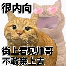 很内向 街上看见帅哥 猫猫 色色 想亲帅哥