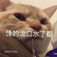 馋的流口水了都 猫猫 馋 流口水