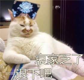 衰家乏了 退下吧 猫猫 累了 躺平