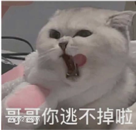 哥哥你逃不掉啦 猫猫 猥琐