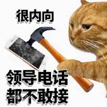 很内向 领导电话 都 打工人 不接电话 猫猫