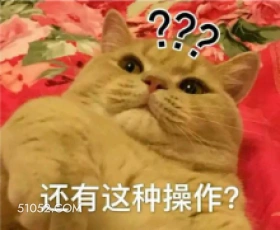 还有这种操作 猫猫 疑问 ？