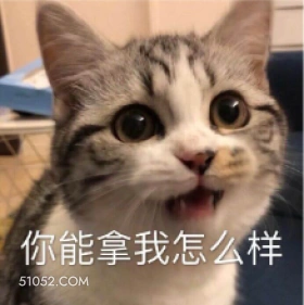 你能拿我怎么样 猫猫 略略略 你能怎样