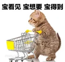 宝看见宝想要宝得到 猫猫 清空购物车