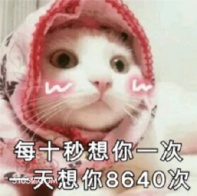 每十秒想你一次 一天 猫猫 想你