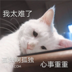 我太难了 狐独啊孤独 猫猫 太难了 孤独 心事重重