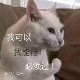我可以 我能行! 必 加油 鼓气 打气 猫猫