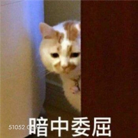 暗中委屈 猫猫 委屈 暗中委屈