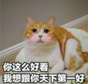 你这么好看 我想跟你 天下第一好 猫猫 好看