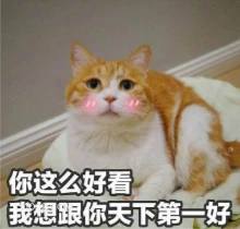 你这么好看 我想跟你 天下第一好 猫猫 好看