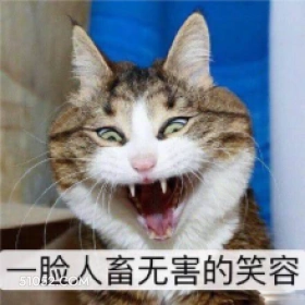 一脸人畜无害的笑容 猫猫 人畜无害 哈哈哈