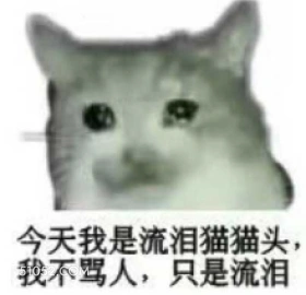 今天我是流泪猫猫头 难过 伤心 流泪 猫猫