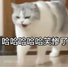 哈哈哈哈哈笑惨了 猫猫 哈哈哈 笑死了