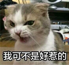 我可不是好惹的 猫猫 不好惹