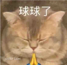 球球了 猫猫 求求 求你 双手合十