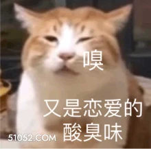 嗅 又是恋爱的 酸臭 猫猫 单身狗