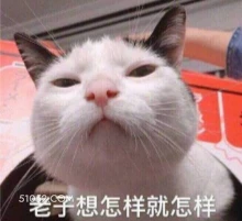 老子想怎样就怎样 猫猫 傲娇 你能拿我怎样