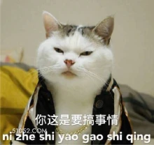 你这是要搞事情 ni 猫猫 搞事情