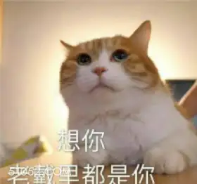 想你 老戴里都是你 猫猫 想你