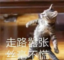 走路嚣张 丝毫不慌 猫猫 嚣张