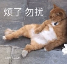 烦了勿扰 猫猫 烦 勿扰