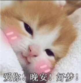 爱你！晚安！好梦！ 猫猫 爱你 晚安 好梦