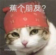 蕉个朋友？ 猫猫 交朋友