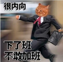 很内向 下了班 不敢 打工人 火速下班 猫猫