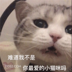 难道我不是 9 你最 猫猫 质问 不爱我了