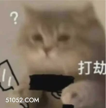 ? 打劫 猫猫 举起手来 打劫