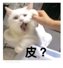 皮？ 猫猫 皮