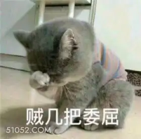 贼几把委屈 猫猫 委屈