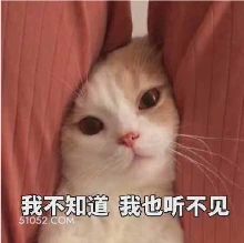 我不知道我也听不见 猫猫 摆烂 放空