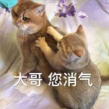 大哥您消气 猫猫 别生气 消消气