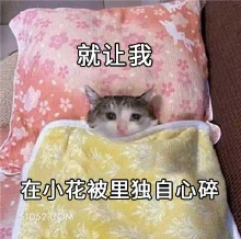 难过猫猫心碎 难过 猫猫 心碎