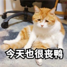 今天地很丧鸭 猫猫 emo 丧